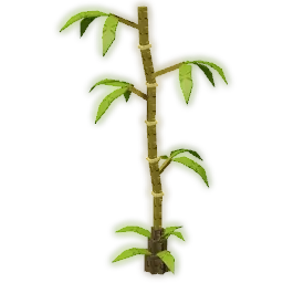 Bamboo Tree