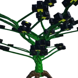 Biggest Shadow Buttercup