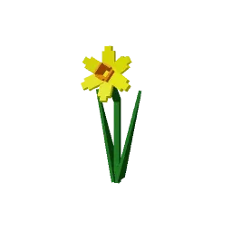 Daffodil